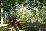 Irene's aftermath