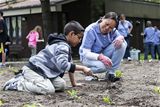 Community garden